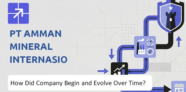 What Is the History of PT Amman Mineral Internasional Company and How Did It Evolve?
