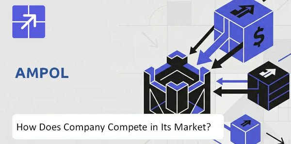 What Is the Competitive Landscape of Ampol Company and How Does It Compete?