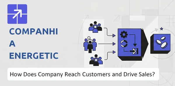 How Does Companhia Energetica de Minas Gerais Company Reach Customers and Turn Demand into Sales?