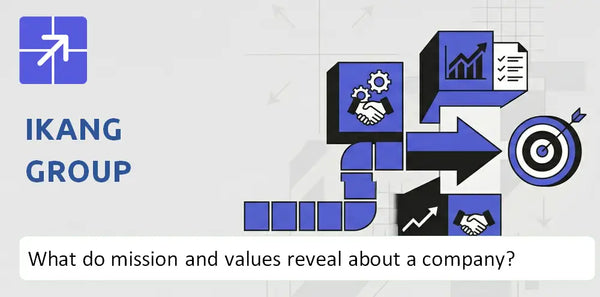 What Do the Mission, Vision, and Core Values of iKang Group Company Reveal?