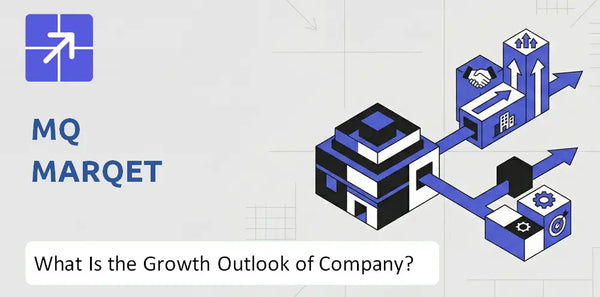 What Is the Growth Outlook of MQ Marqet Company and Where Is It Heading?