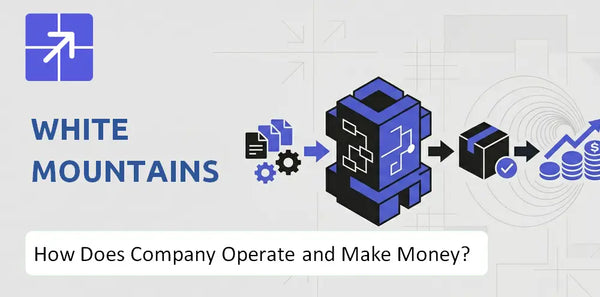 How Does White Mountains Company Work and What Drives Its Business Model?