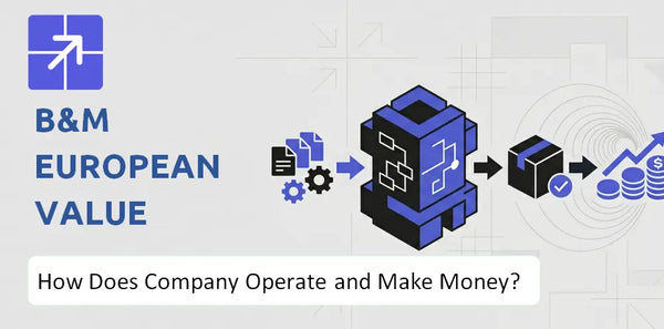 How Does B&M European Value Retail Company Work and What Drives Its Business Model?