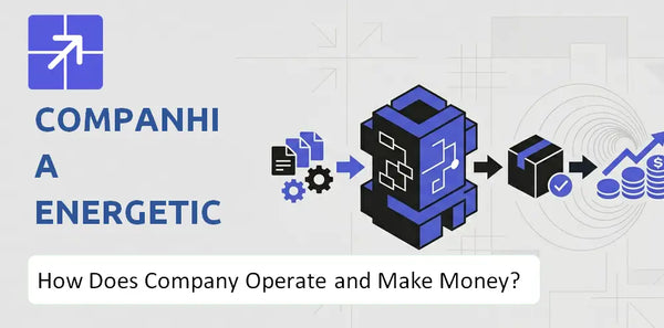 How Does Companhia Energetica de Minas Gerais Company Work and What Drives Its Business Model?