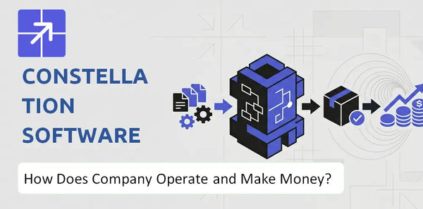 How Does Constellation Software Company Work and What Drives Its Business Model?