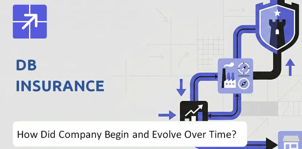 What Is the History of Db Insurance Company and How Did It Evolve?