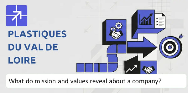 What Do the Mission, Vision, and Core Values of Plastiques du Val de Loire Company Reveal?