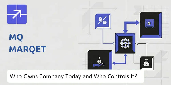Who Owns MQ Marqet Company Today and Who Holds Control?