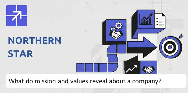 What Do the Mission, Vision, and Core Values of Northern Star Company Reveal?