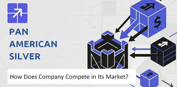 What Is the Competitive Landscape of Pan American Silver Company and How Does It Compete?