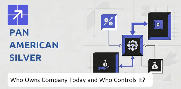 Who Owns Pan American Silver Company Today and Who Holds Control?