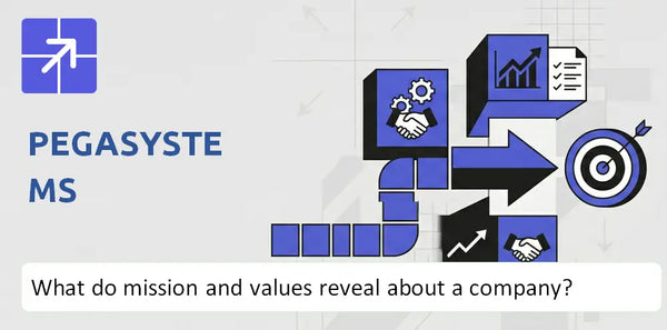 What Do the Mission, Vision, and Core Values of Pegasystems Company Reveal?