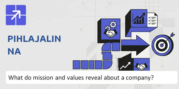What Do the Mission, Vision, and Core Values of Pihlajalinna Company Reveal?