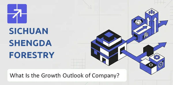What Is the Growth Outlook of Sichuan Shengda Forestry Industry Co. Company and Where Is It Heading?