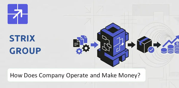 How Does STRIX Group Company Work and What Drives Its Business Model?