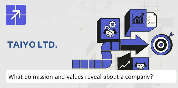 What Do the Mission, Vision, and Core Values of Taiyo Ltd. Company Reveal?