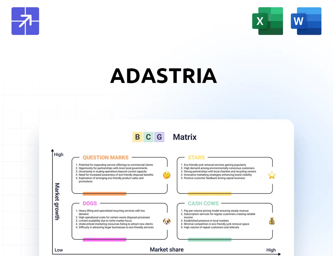 Adastria Bcg Matrix