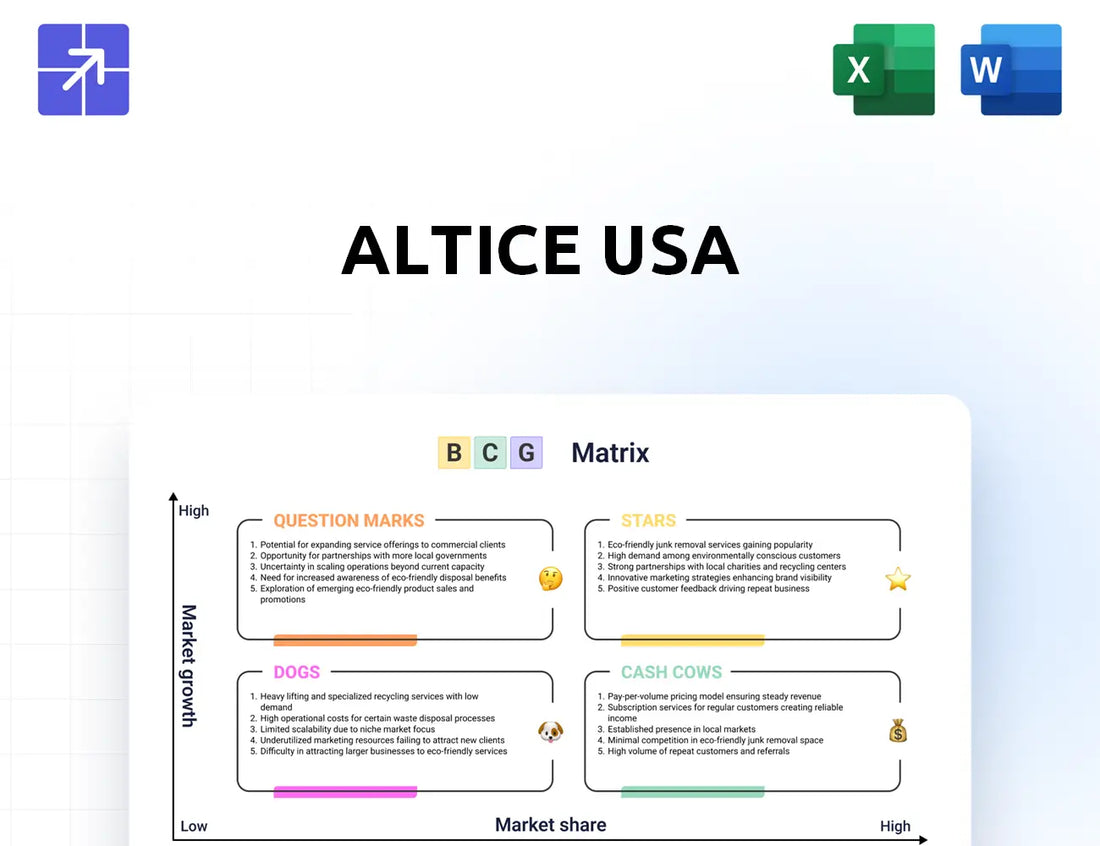 Alticeusa Bcg Matrix