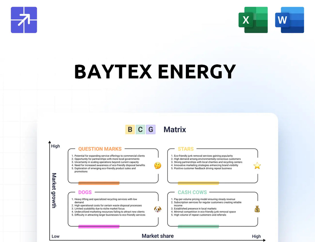 Baytexenergy Bcg Matrix