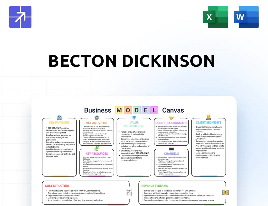 Bd Canvas Business Model