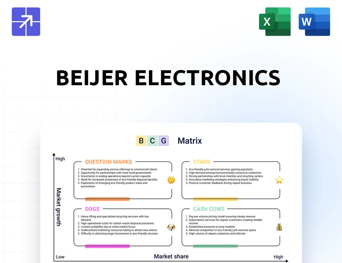 Beijerelectronics Bcg Matrix