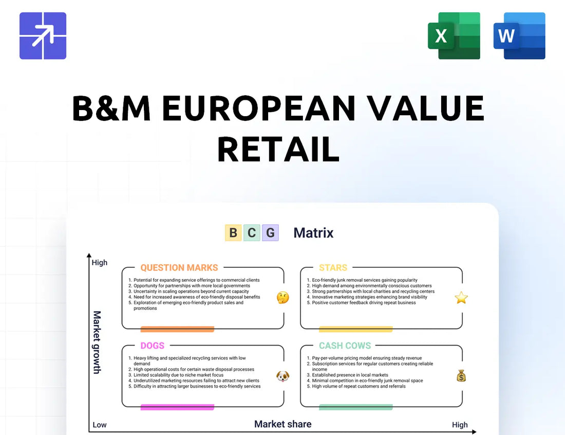Bmstores Bcg Matrix
