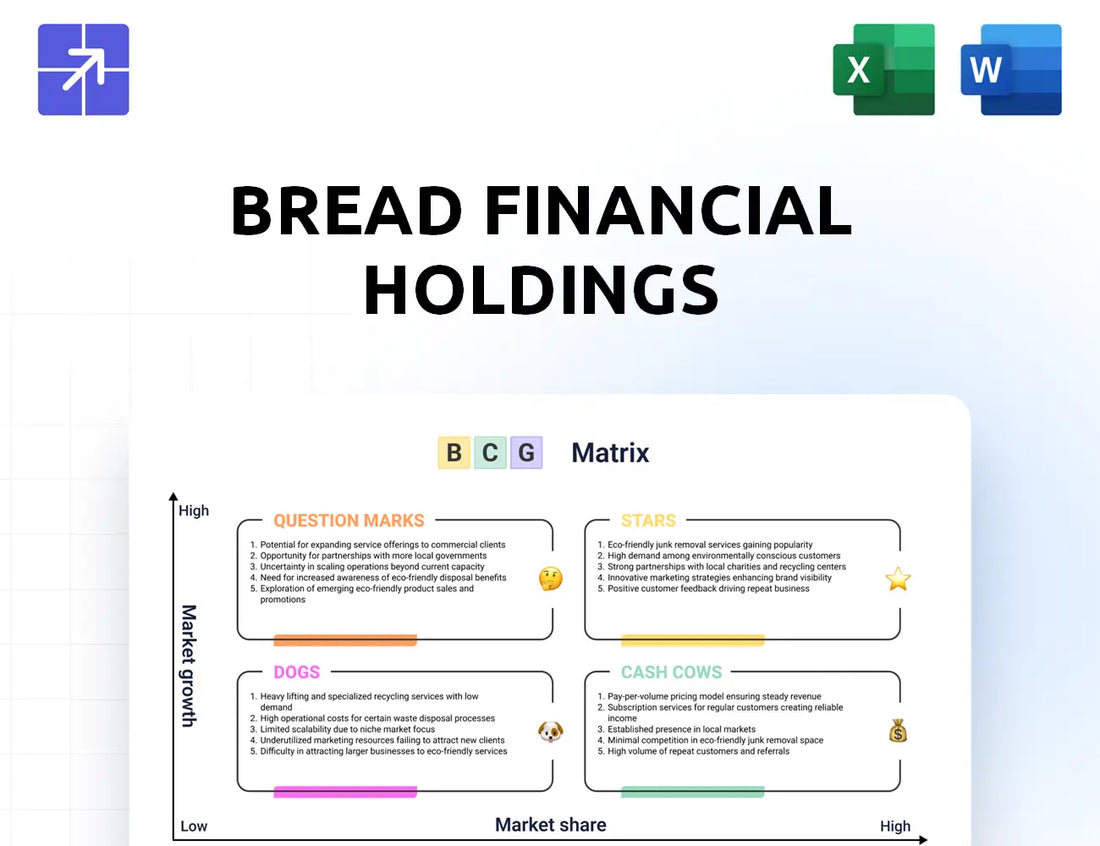Breadfinancial Bcg Matrix