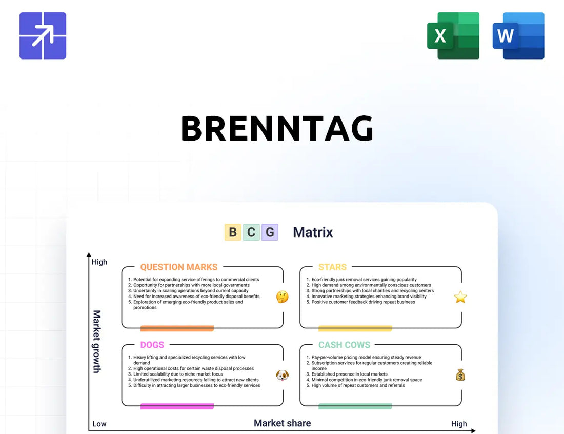Brenntag Bcg Matrix