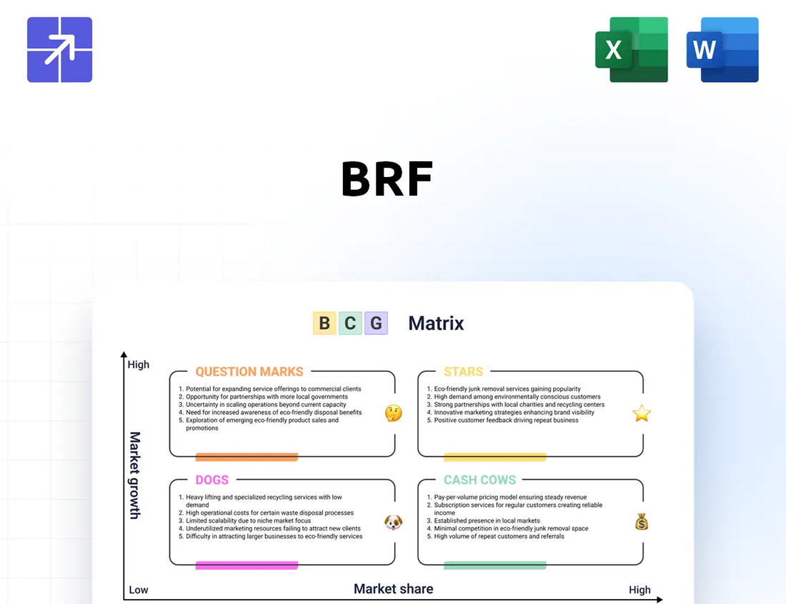 Brf Global Bcg Matrix