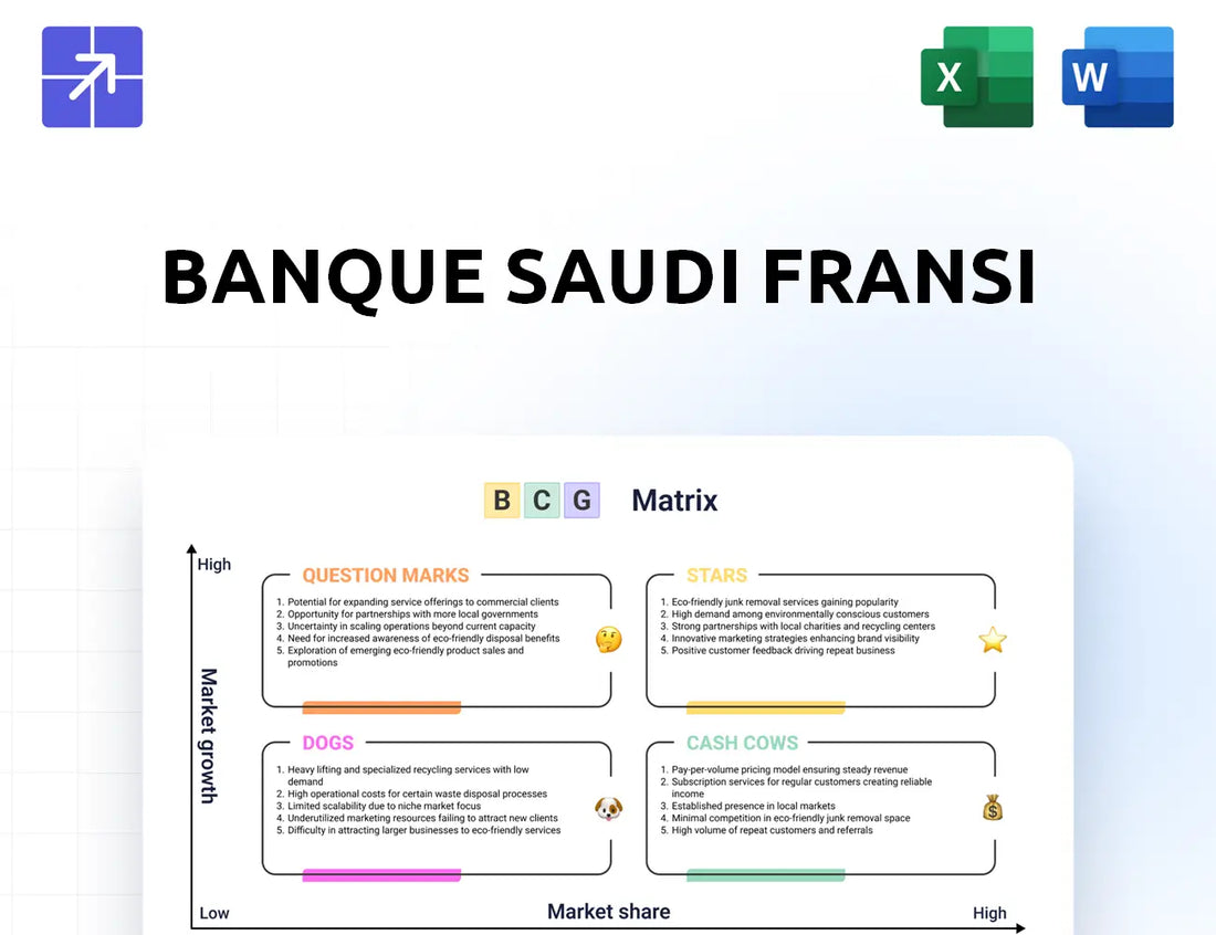 Bsf Bcg Matrix