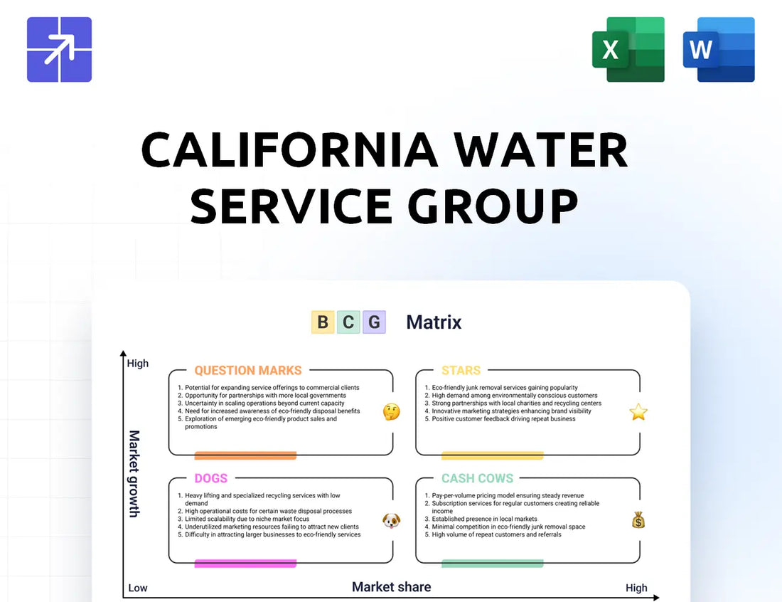 Calwatergroup Bcg Matrix