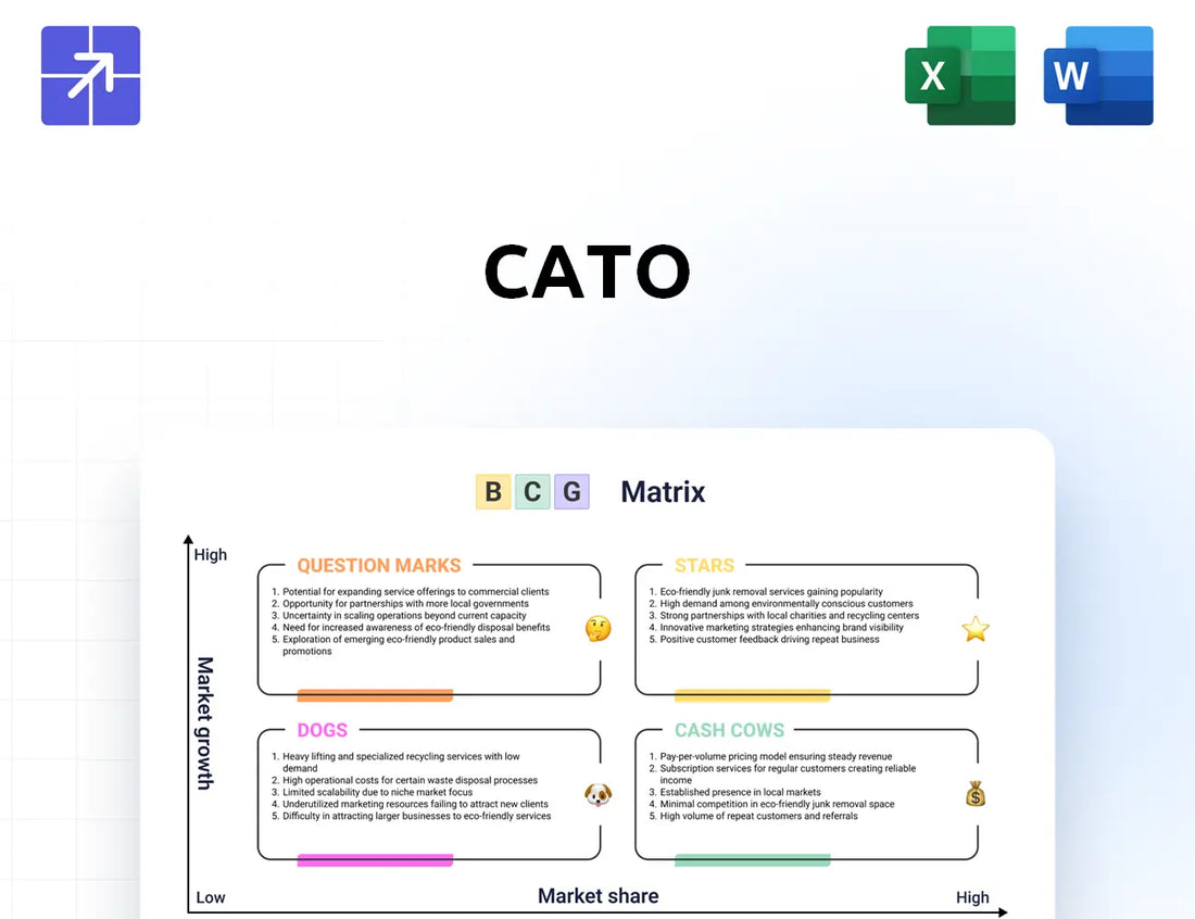 Catofashions Bcg Matrix