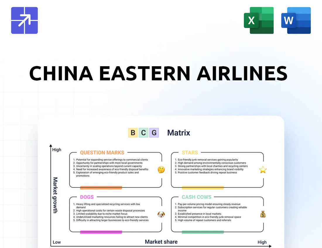 Ceair Bcg Matrix