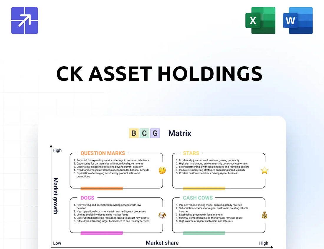 Ckah Bcg Matrix