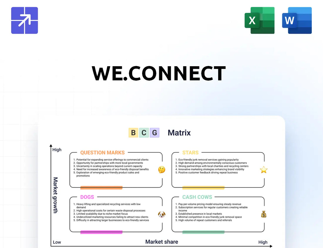 Connect We Bcg Matrix