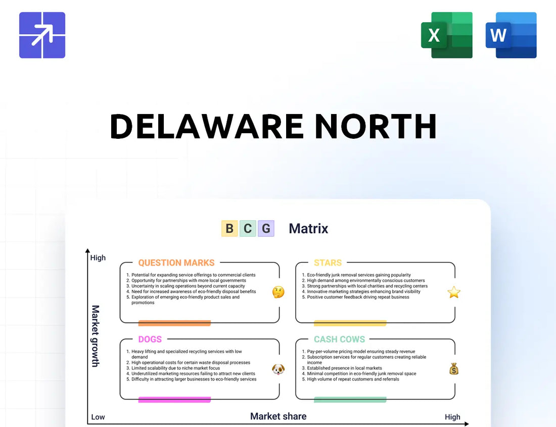 Delawarenorth Bcg Matrix