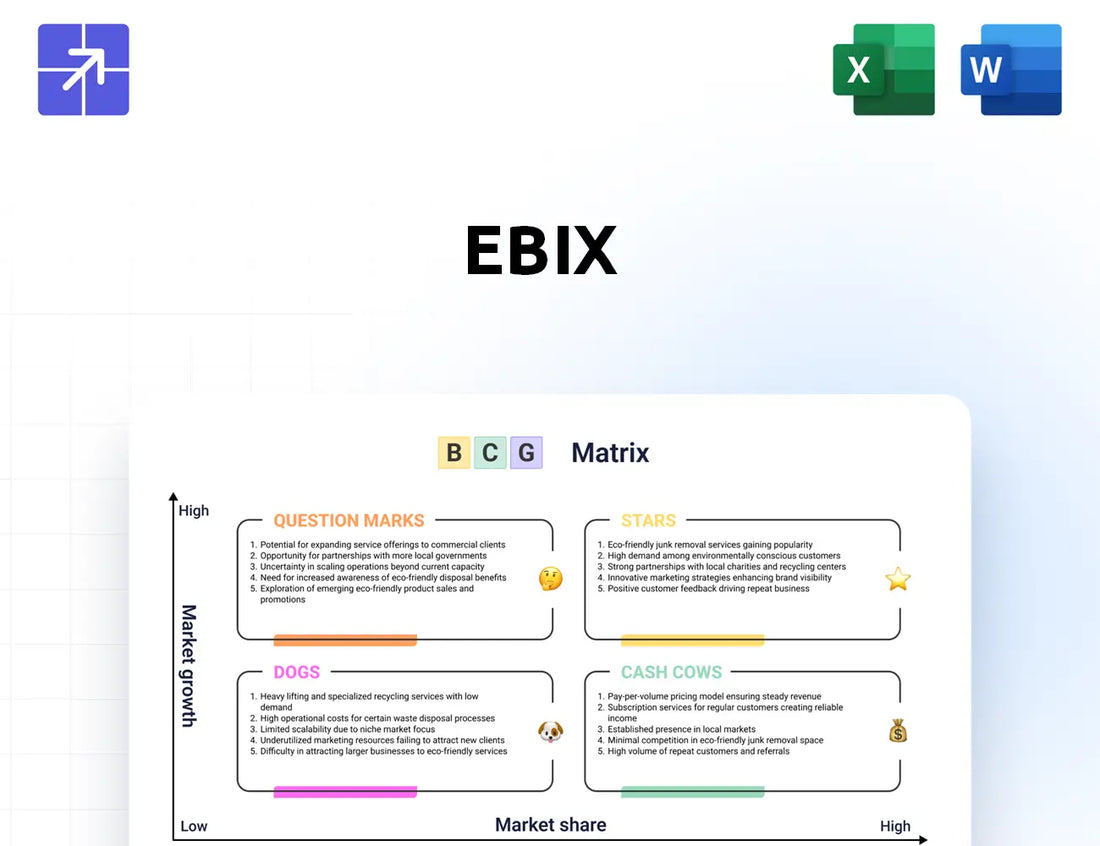 Ebix Bcg Matrix