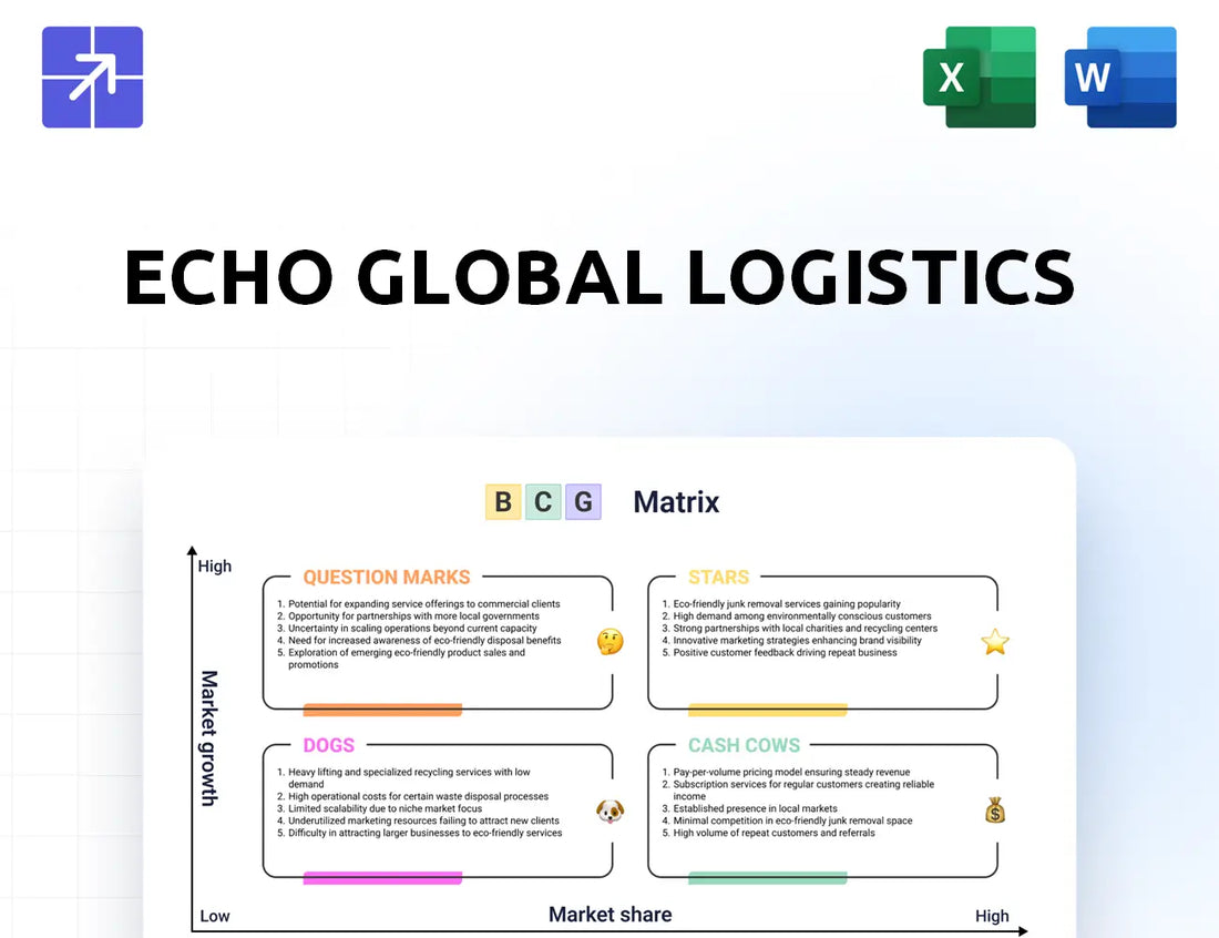 Echo Bcg Matrix