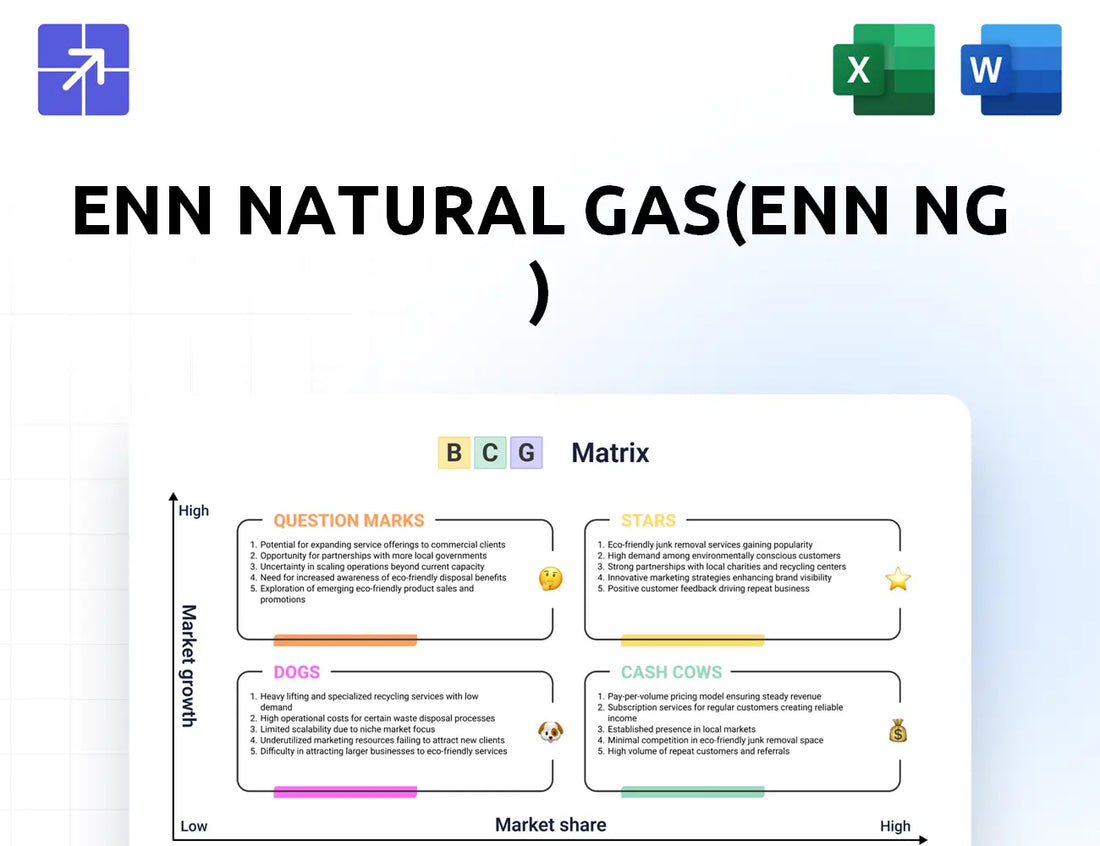 Enn Ng Bcg Matrix