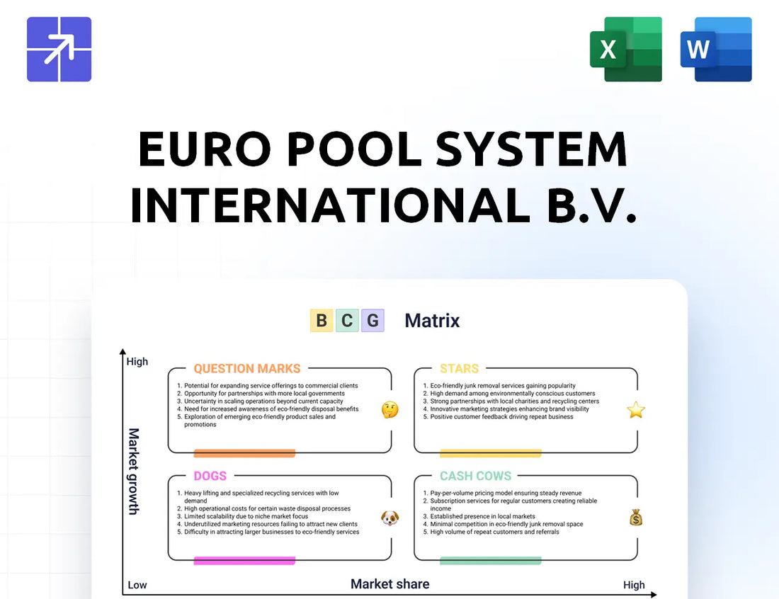 Europoolsystem Bcg Matrix