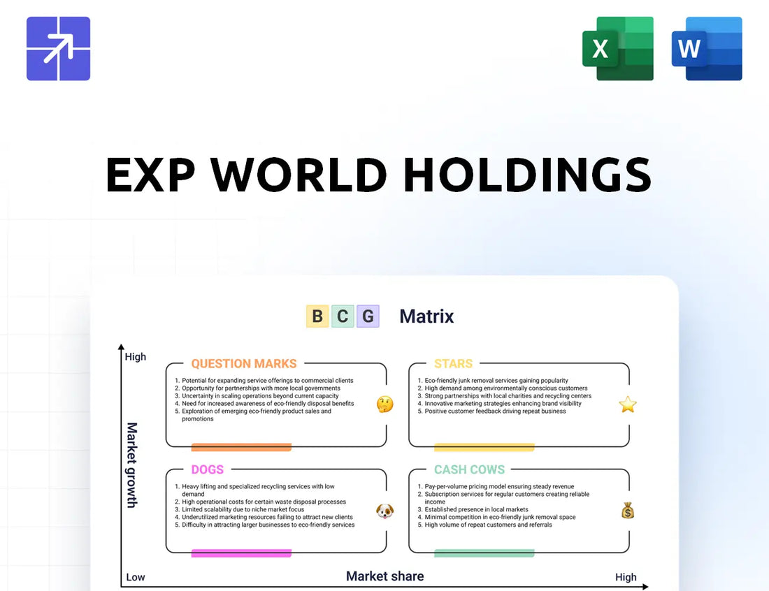 Expworldholdings Bcg Matrix