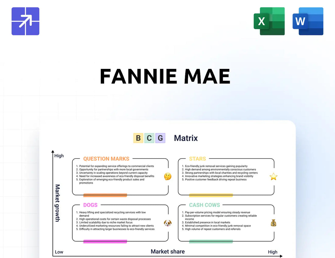 Fanniemae Bcg Matrix