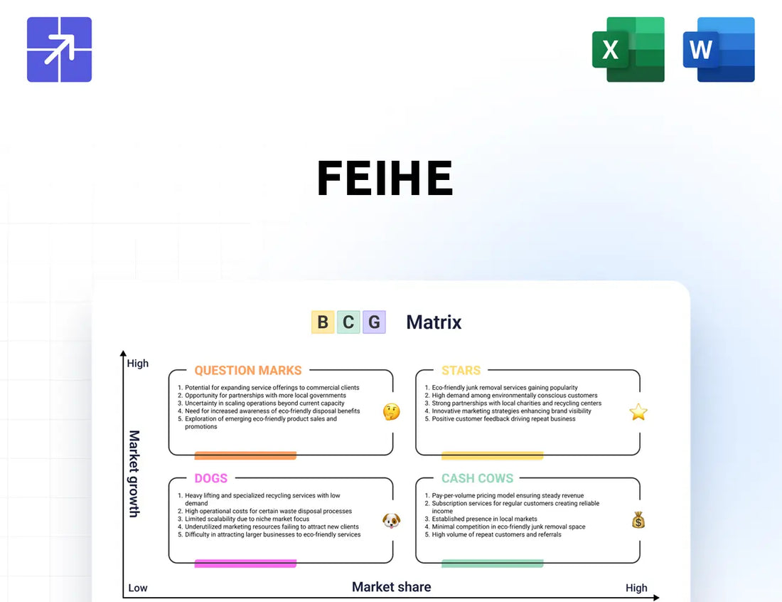 Feihe Bcg Matrix