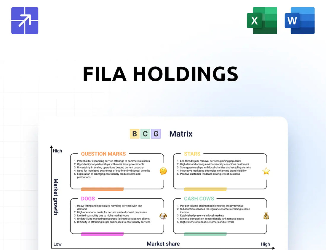Filaholdings Bcg Matrix