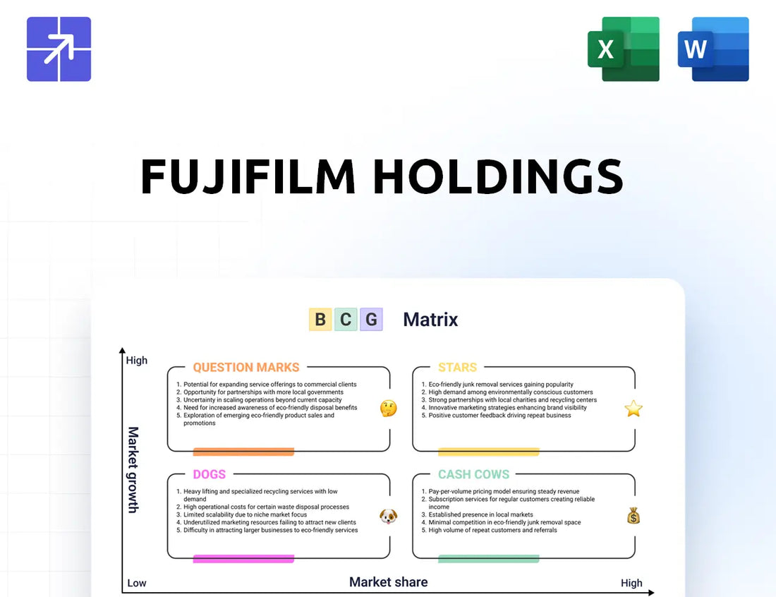 Fujifilm Bcg Matrix
