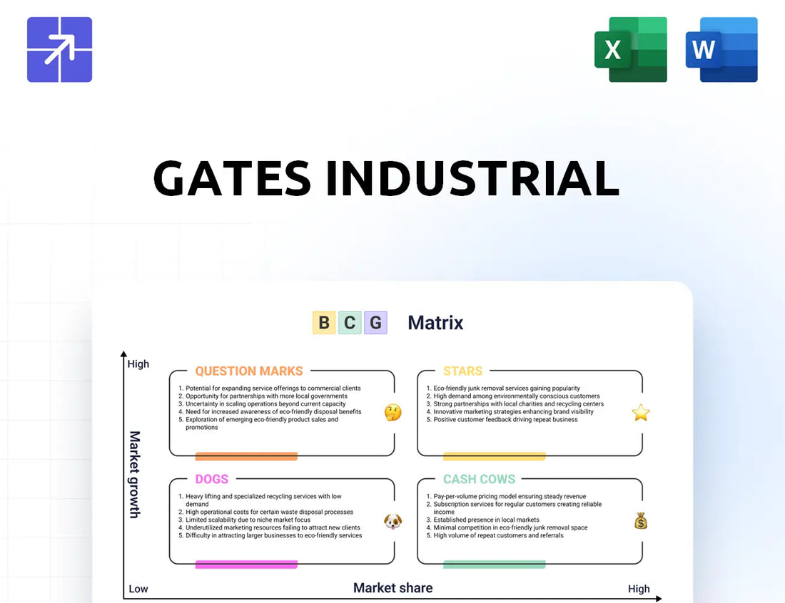 Gates Bcg Matrix