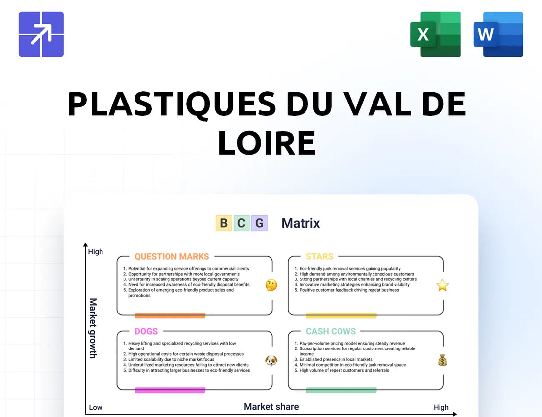 Groupe Plastivaloire Bcg Matrix