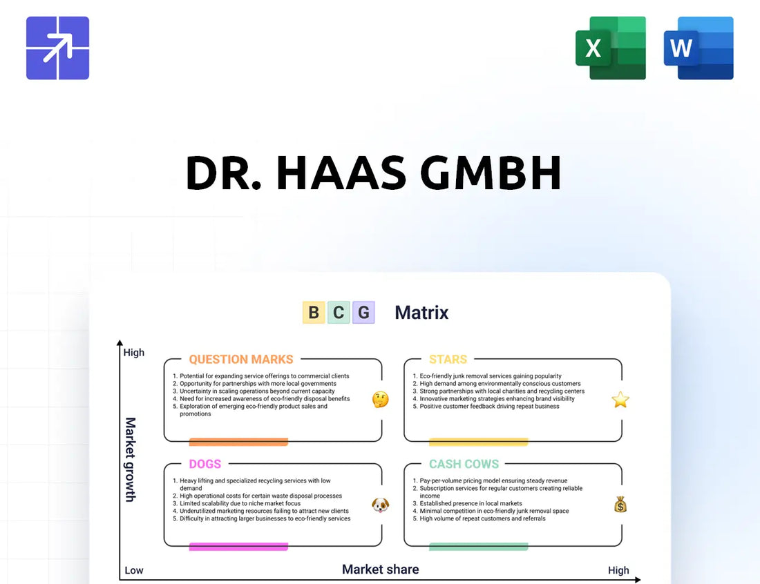 Haas Medien Bcg Matrix