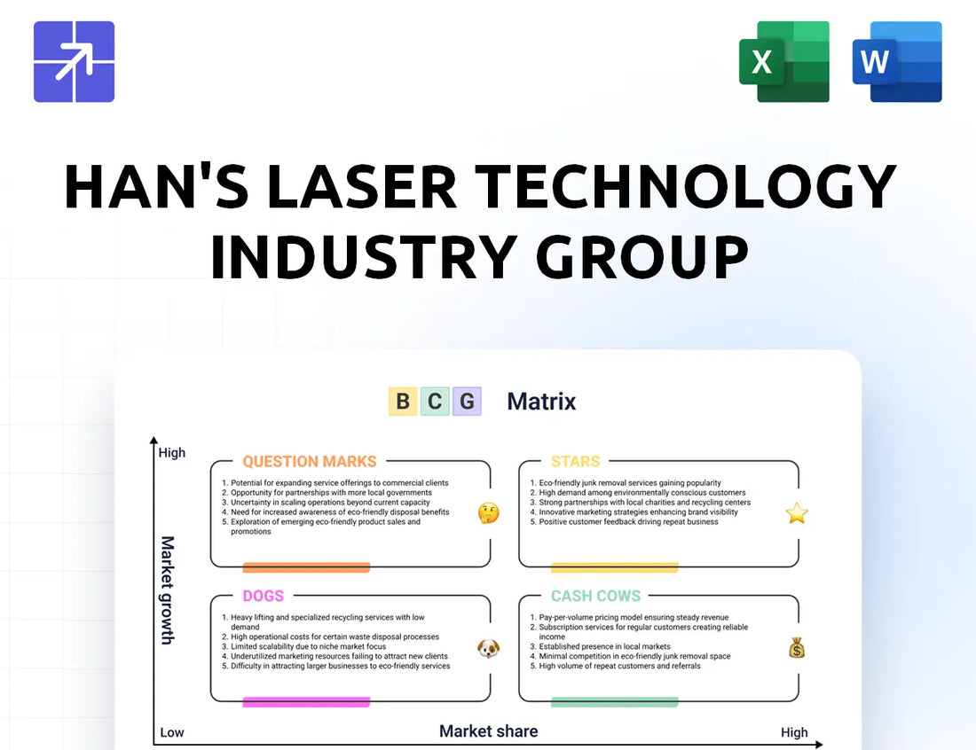Hanslaser Bcg Matrix
