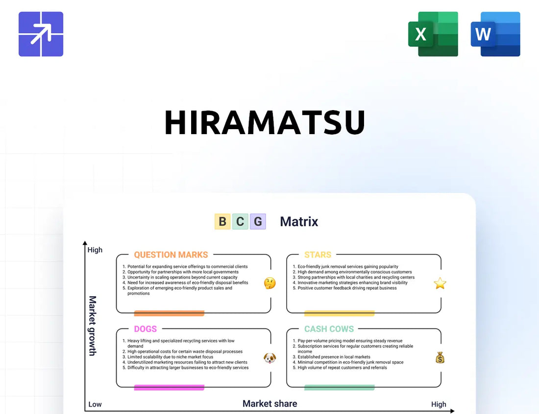 Hiramatsu Bcg Matrix